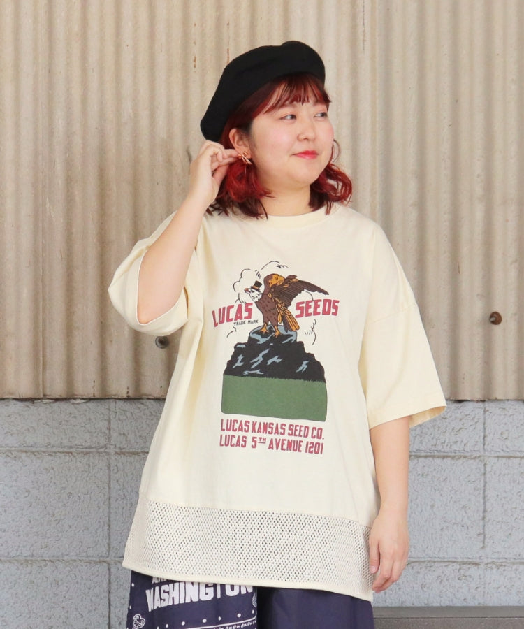 【新作】裾メッシュTシャツ/25042610