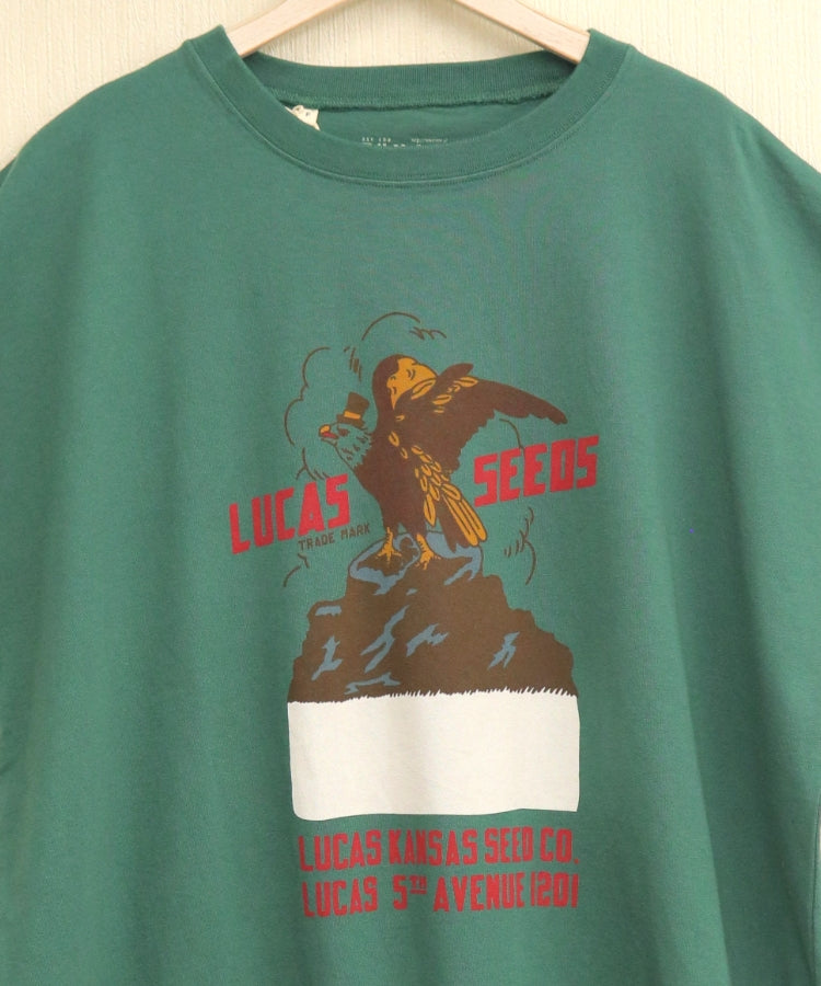 【新作】裾メッシュTシャツ/25042610